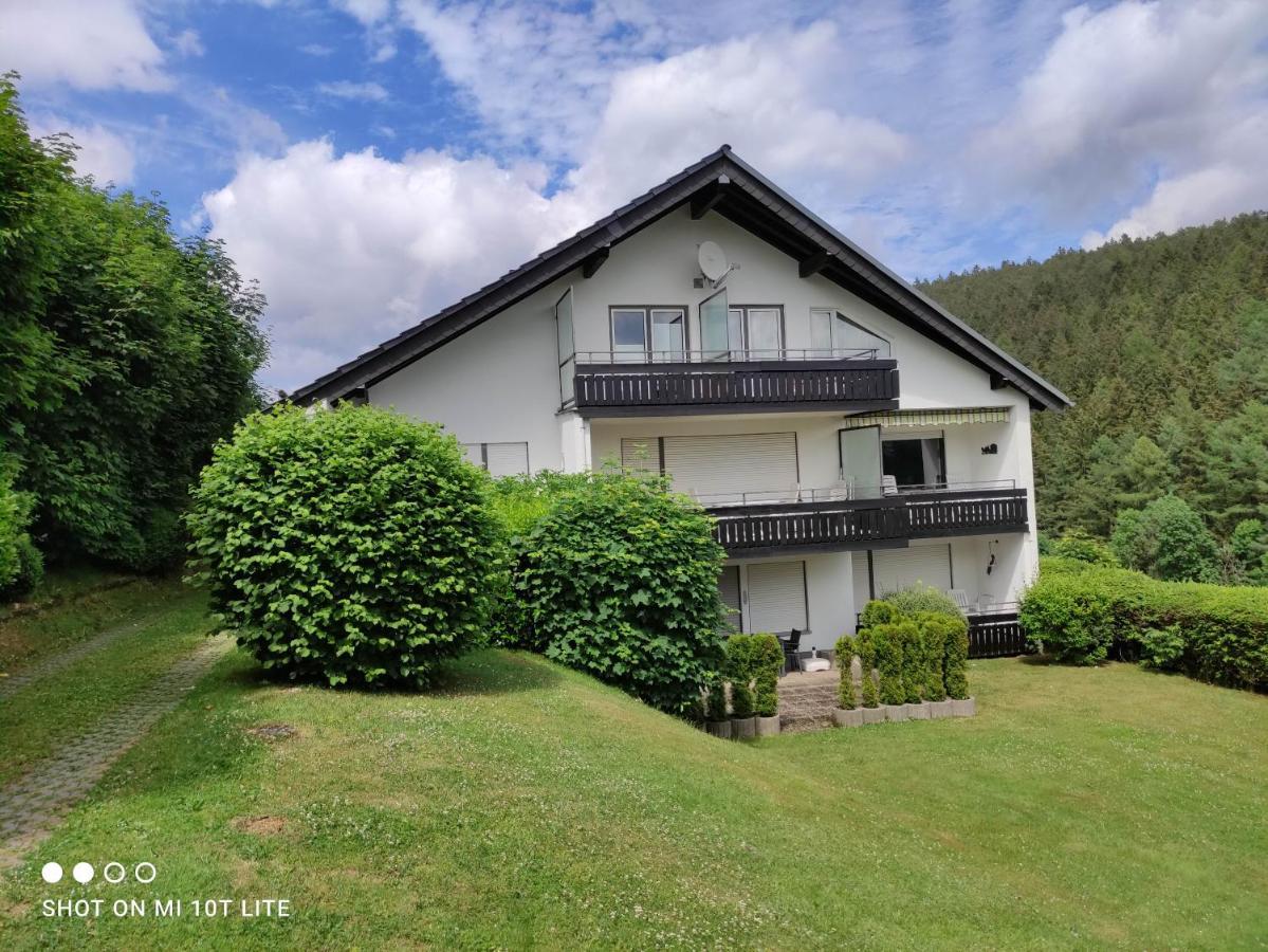 Ferienwohnungen Lang ヴィリンゲン エクステリア 写真